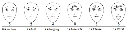 free-printable-scale-face