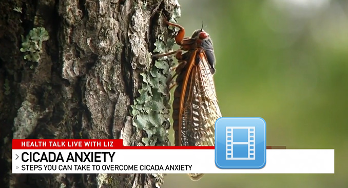 Tips for Cicada Anxiety